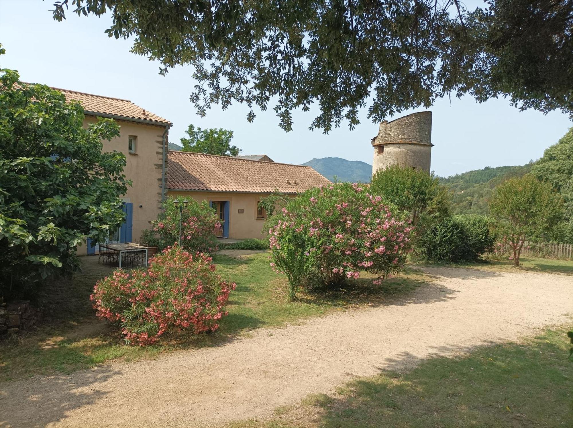 Chateau De Colombieres Sur Orb Экстерьер фото